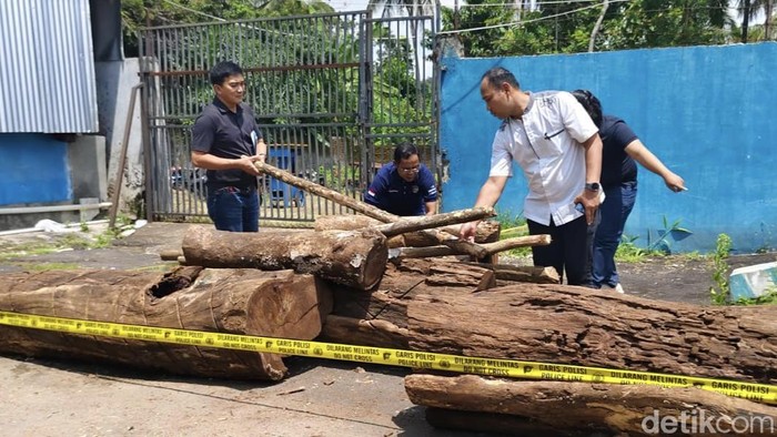 Polres Kuningan Ringkus Komplotan Pembalak Liar di Gunung Ciremai