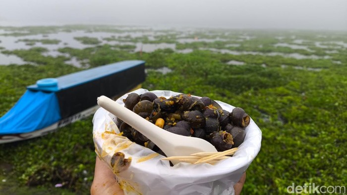 Menikmati Tutut Dadakan Kaya Rempah di Tepian Waduk Darma Kuningan